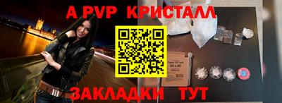 бошки Шелехов