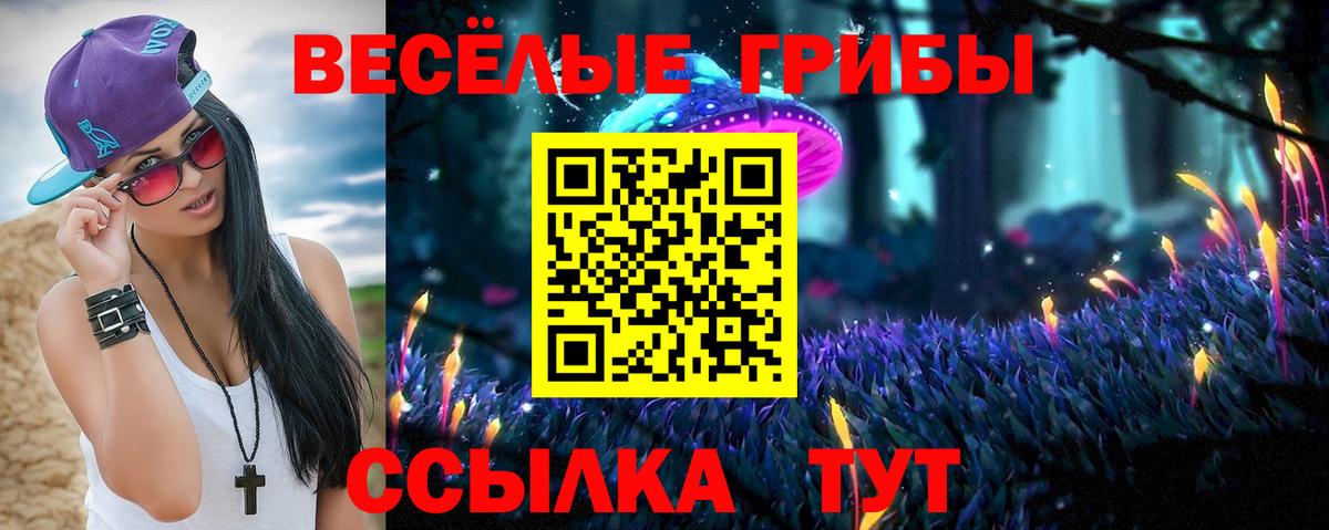 Псилоцибиновые грибы мицелий Вязьма