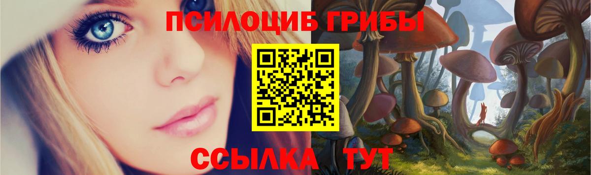 Галлюциногенные грибы Psilocybe  Вход с VPN  Вязьма 